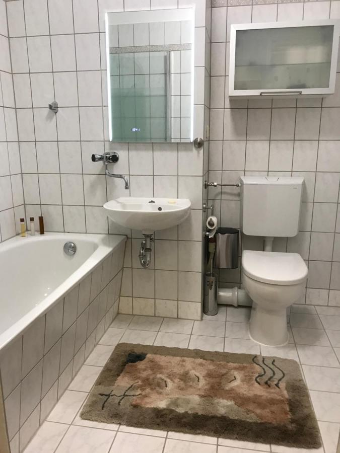 Zentrumsnahe Leipzig-Apartments, Nahe Ufz Und Bmw Inkl Parkplatz Und Fahrraeder Екстер'єр фото